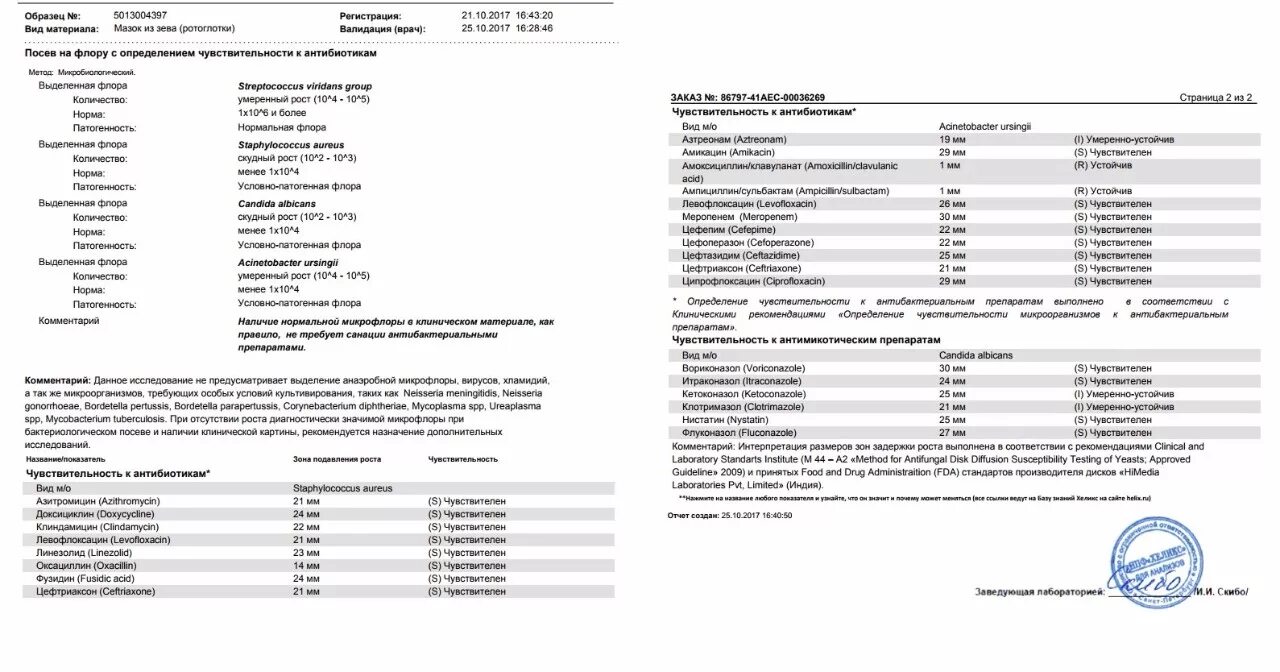 Streptococcus в мазке у мужчин. Мазок из зева и носа результат норма. Бак исследование мазка из зева заключение. Мазок из зева и носа микроскопия. Бак посев из зева на микрофлору норма.