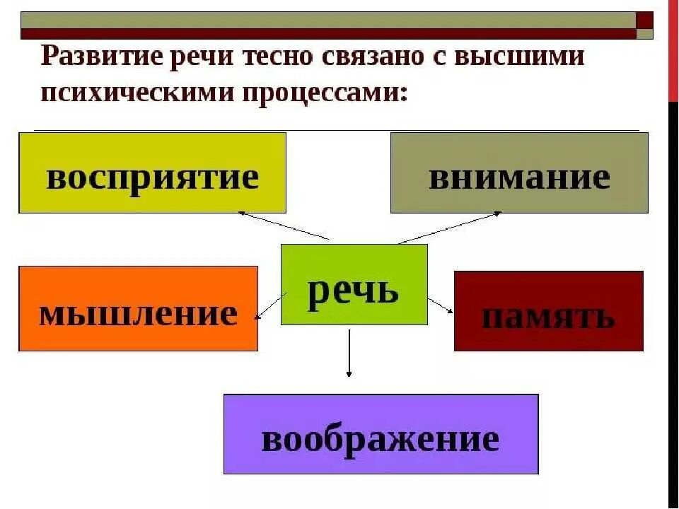 Речь и психические процессы взаимосвязь. ВПФ В психологии. Связь речевой деятельности с другими сторонами деятельности. Связь речи с другими психическими процессами.