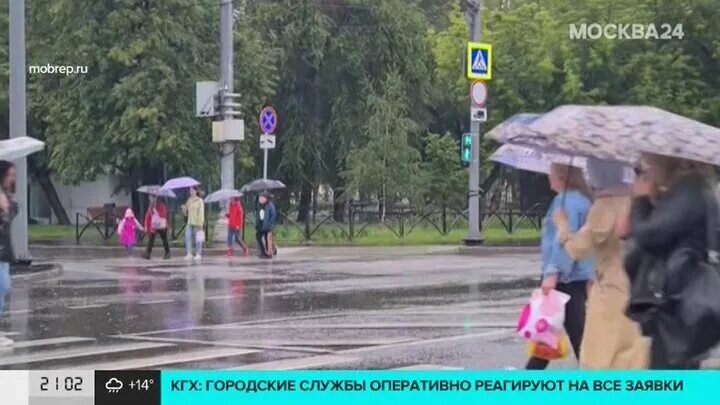В москве выпала месячная норма осадков. В москве выпала месячная норма осадков