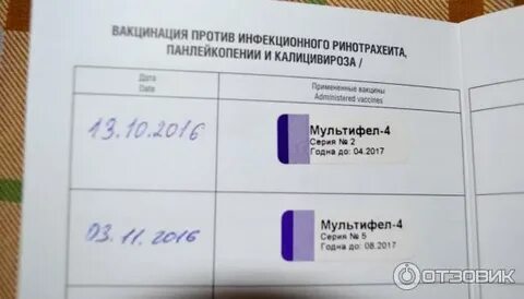 Мультифел 4 инструкция для кошек
