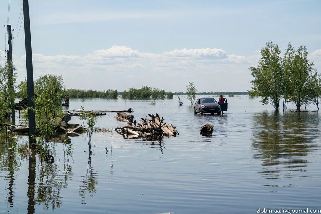 Уровень воды в оби октябрьское. Река Обь Мегион. Река Обь Нижневартовск. Паводок реки Обь. Потоп 2015 Нижневартовск.