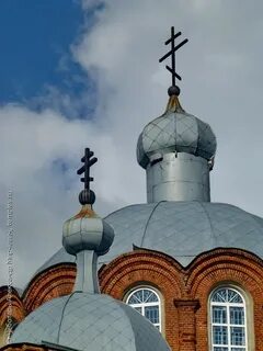 Селезни тамбовская область