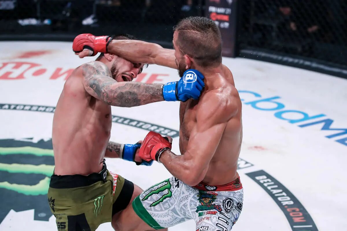 Серджио петтис беллатор чемп. Токов бои видео. Токов бои видео. Усман нурмагомедов. Анатолий токов беллатор.