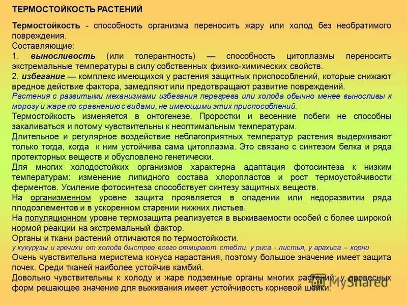 растения переносящие низкие температуры. приспособления растений к низким температурам.