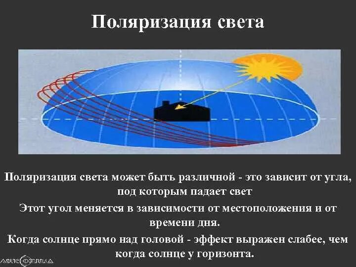 Почему свет на рабочем. Поляризация общества. Поляризованный свет в природе. Поляризоваться это. Поляризация света в природе.