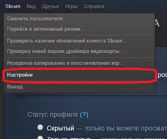 Настройки Steam клиента. Как открыть настройки стим. Настройка профиля стим. Настройки конфиденциальности стим. Как открыть настройки в игре