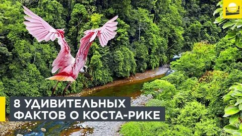 Мир вьетнам
