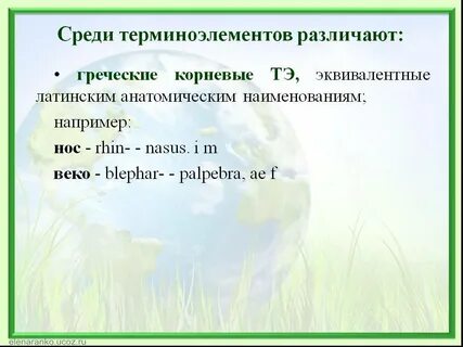 Терминоэлементы латынь