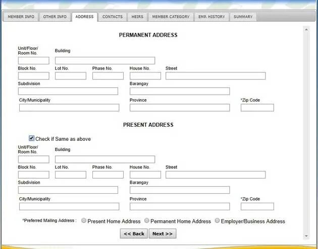 Permanently перевод. Permanent address пример. Present address пример. Permanent address в анкете. Mailing address пример заполнения.