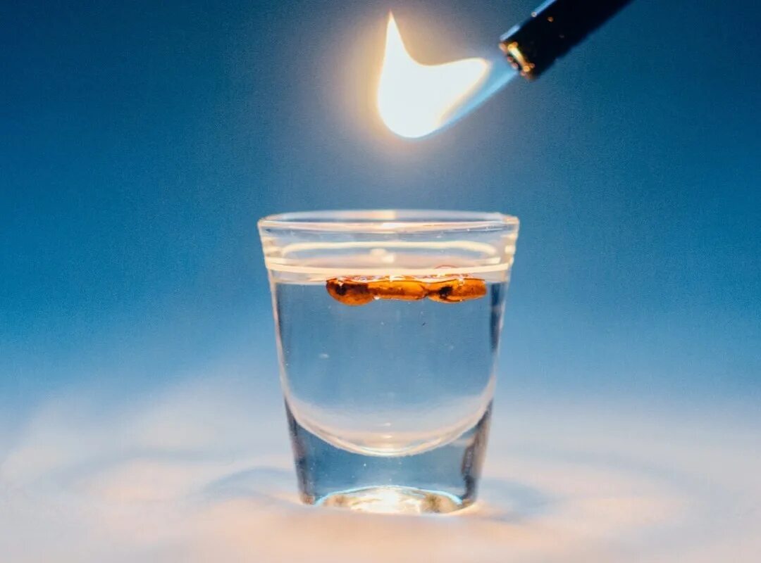 Самбука коктейль. Коктейль Flaming Sambuca. Самбука поджигается. Коктейль с огнем. Самбука горящая