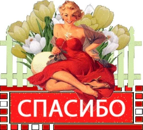 Спасибо девушке. Открытки спасибо прикольные для мужчины. спасибо мужчине прикольные. спасибо от мужчины картинки прикольные. спасибо от женщины.