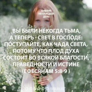 Света теперь