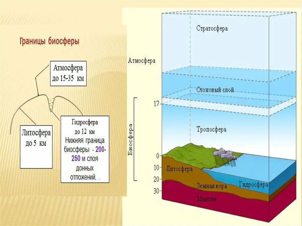 Атмосфера литосфера гидросфера Биосфера Тропосфера стратосфера. Схема границы биосферы 6 класс. Рис 103 границы биосферы. Granisi biosferi. Где располагается верхняя граница биосферы