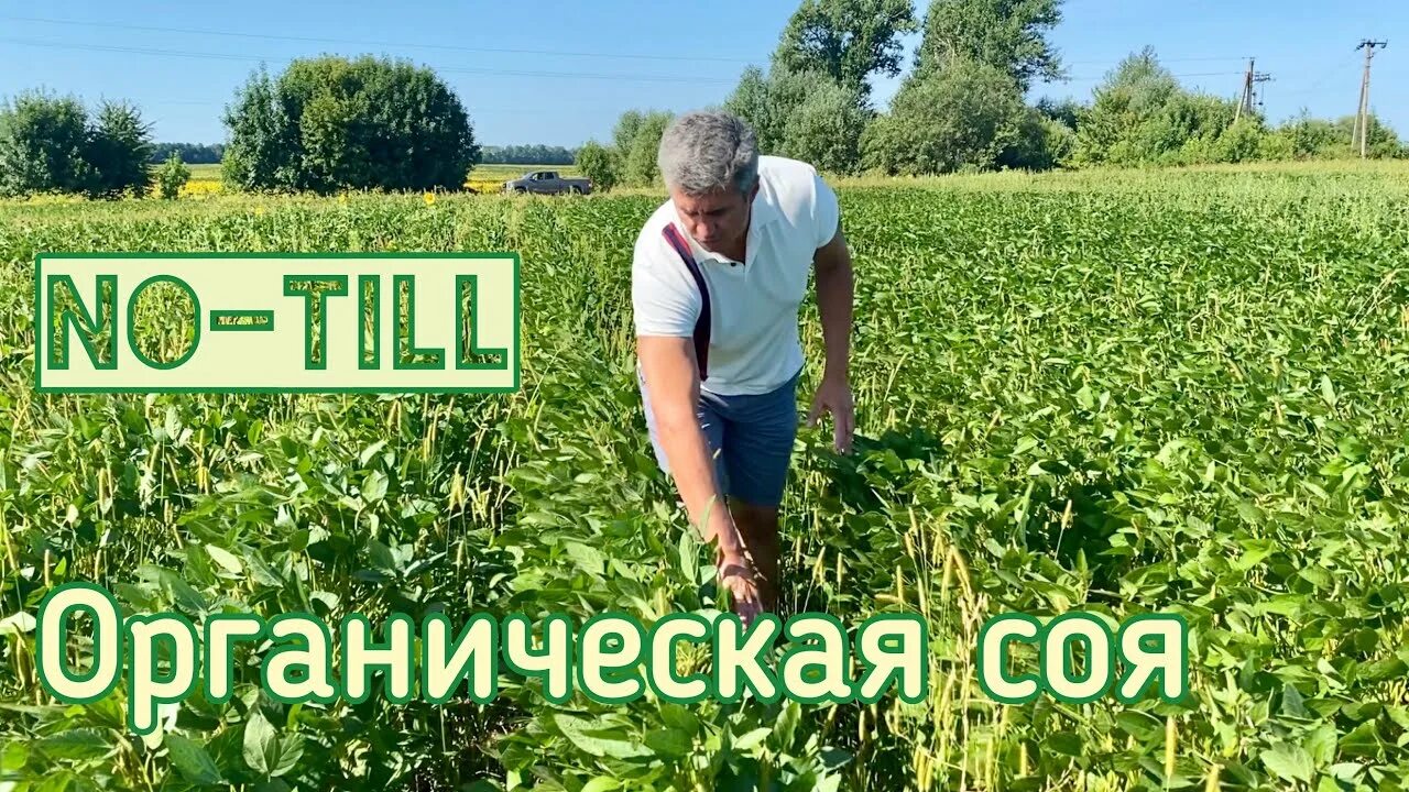 Тилл 2025. Тилл 2025