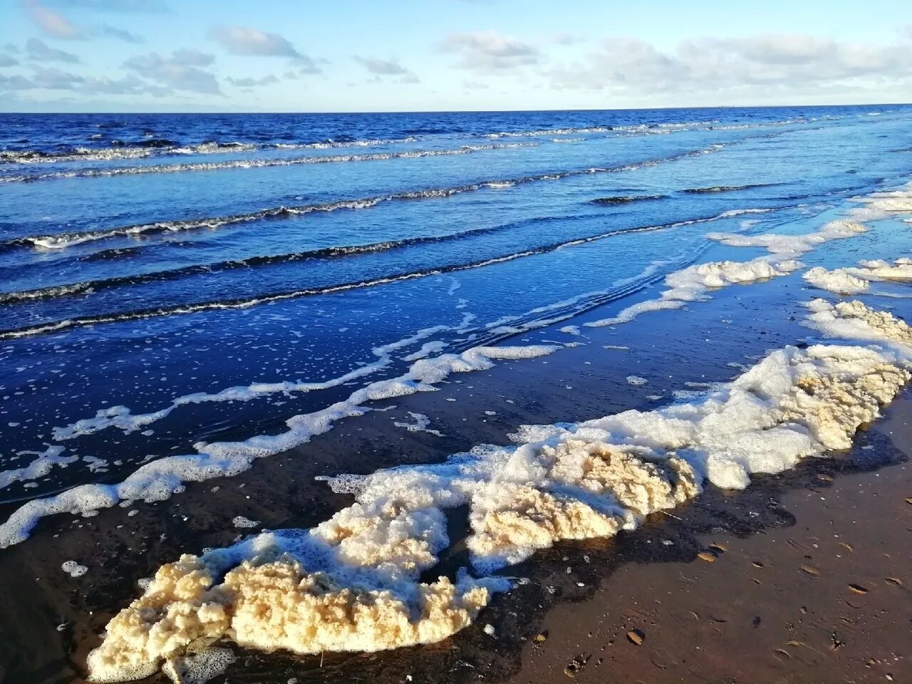 Температура белого моря сегодня