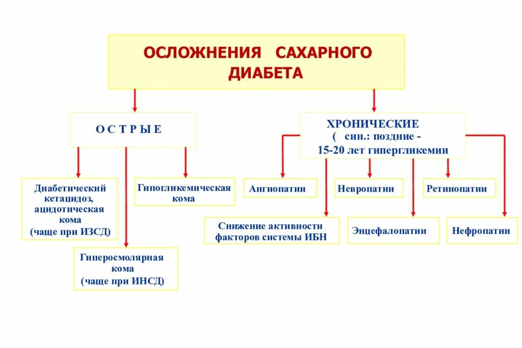 Множественные осложнения сахарного диабета. Осложнения сахарного диабета патофизиология. Хронические осложнения сахарного диабета патофизиология. Сахарный диабет типы патофизиология. Схема развития сахарного диабета.