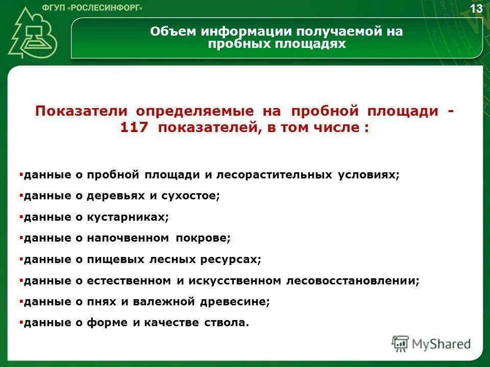 рослесинфорг новые формы отчетности