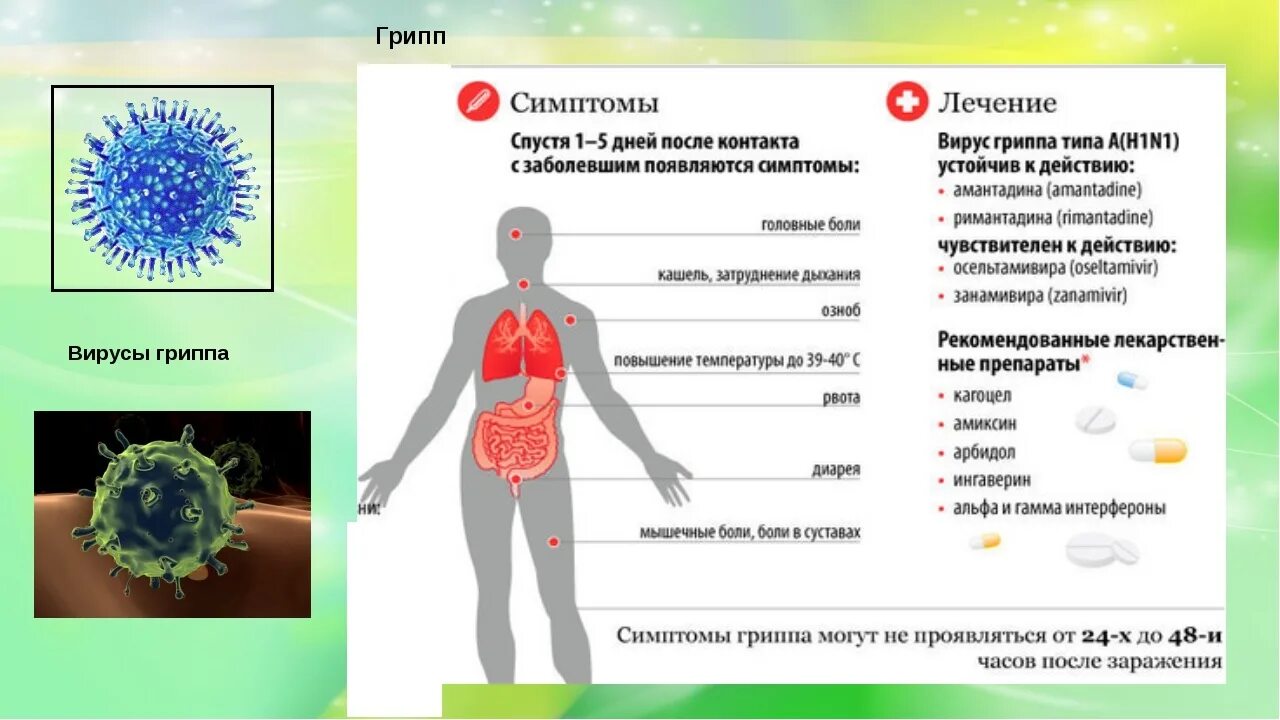 Современное гриппа. Вирус гриппа. Заболевание которое вызывает вирус гриппа. Вирус гриппа симптомы.