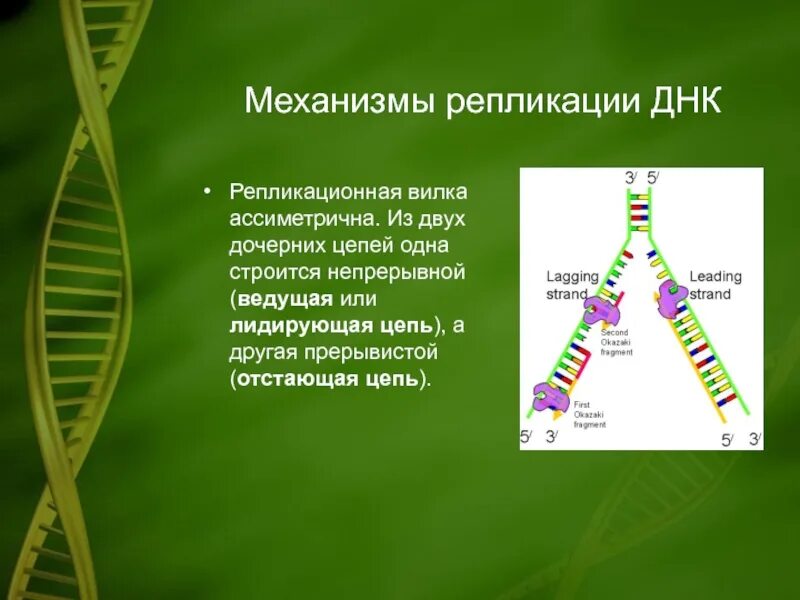 Це пи