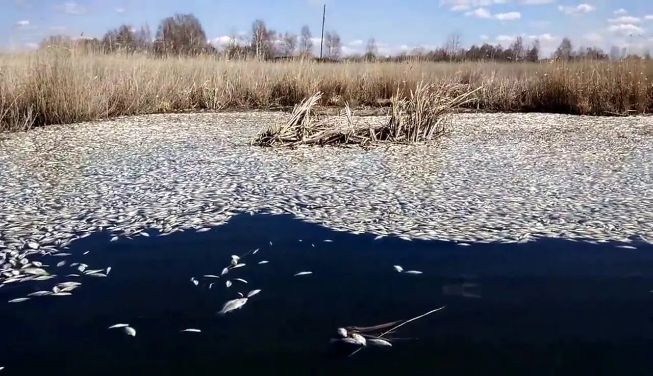 Мертвые водоемы