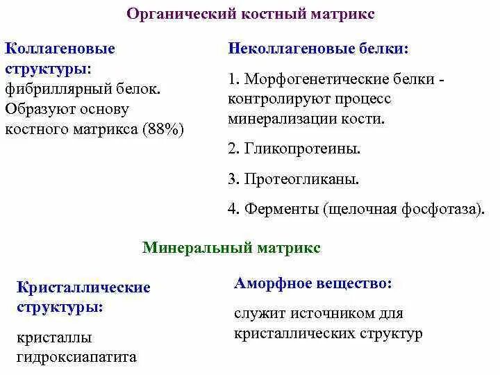 Костный белок. Костная ткань белки. Белки костной ткани. Органический матрикс костной ткани. Костная ткань белки.