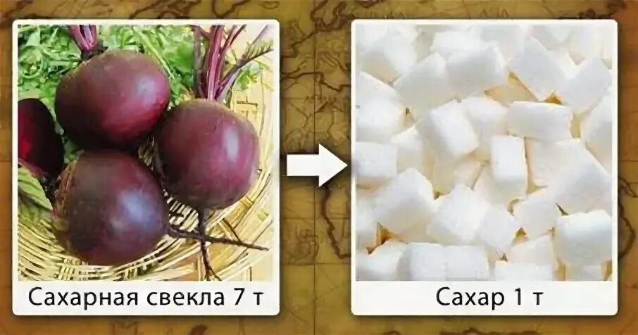 Как делают сахар из свеклы