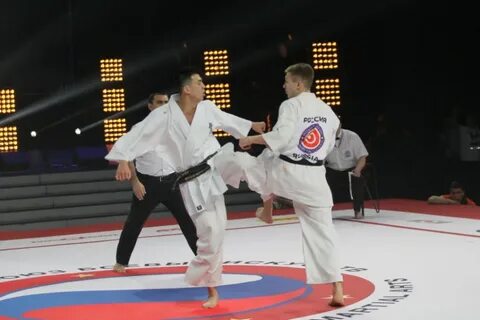 Каратэ киокушинкай видео бои
