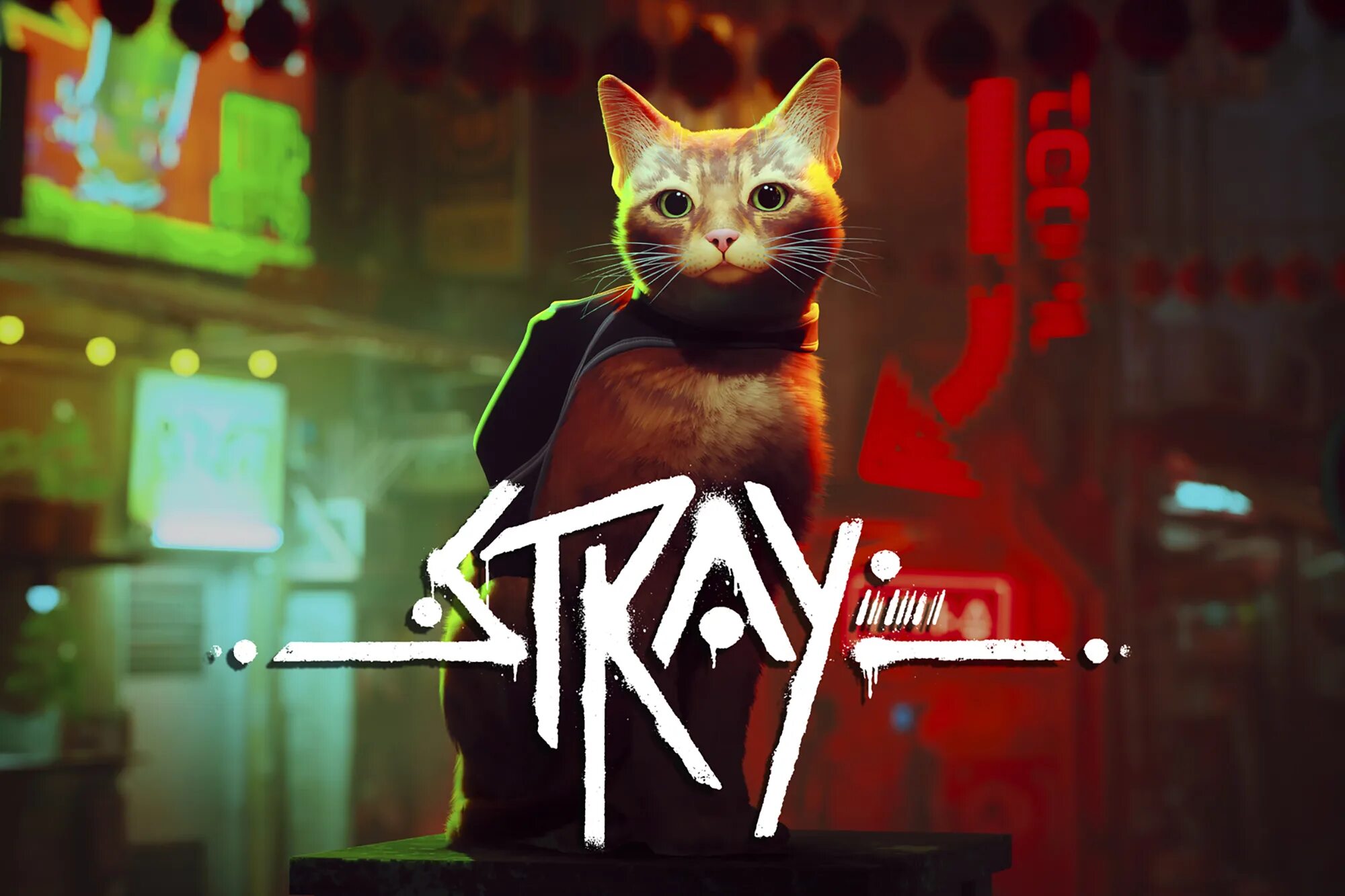 Stray игра ps5. Игра про кота 2022 Stray. Игры для кошек. Stray кот киберпанк. Видео игры cats