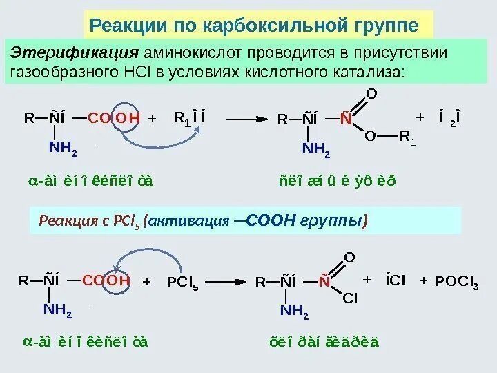 Карбоксильная группа реакция этерификации. Реакции аминокислот по карбоксильной. Реакции карбоксильной группы аминокислот. Реакции аминокислот по карбоксильной группе. Реакции по карбоксильной группе