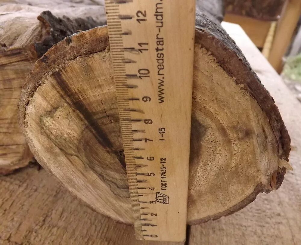 срез дерева грецкого ореха. слэб древесины грецкого ореха. изделия из древесины облепихи. карагач структура дерева. распил дерева на слэбы.