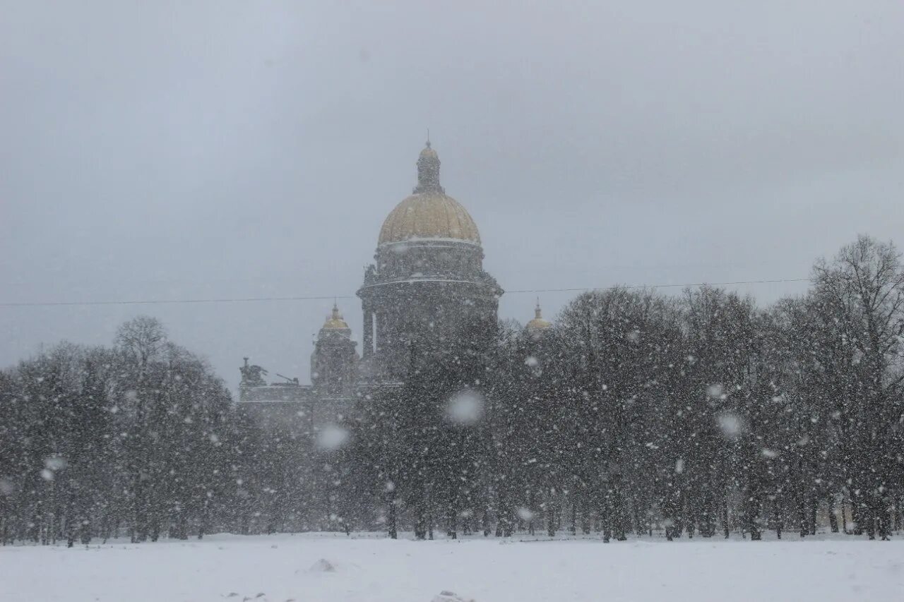 Метель в петербурге сегодня. Метель в петербурге. Пурга питер. Метель в питере сейчас. Снежная буря в питере.