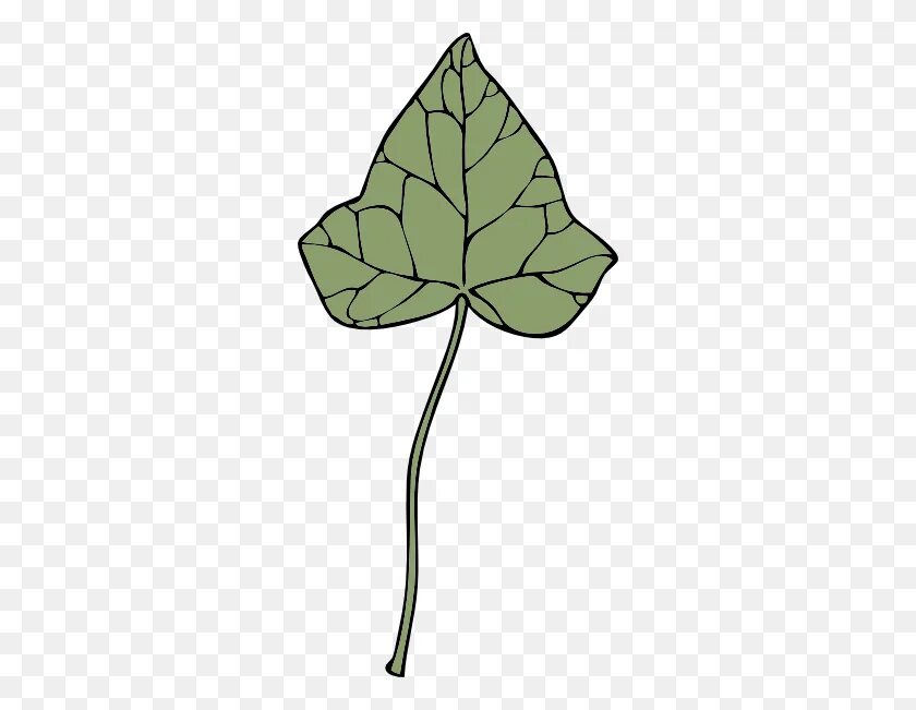 Лист плюща рисунок. Лист плюща рисунок. Лист плюща рисунок. Лист тыквы трафарет. Лист плюща.