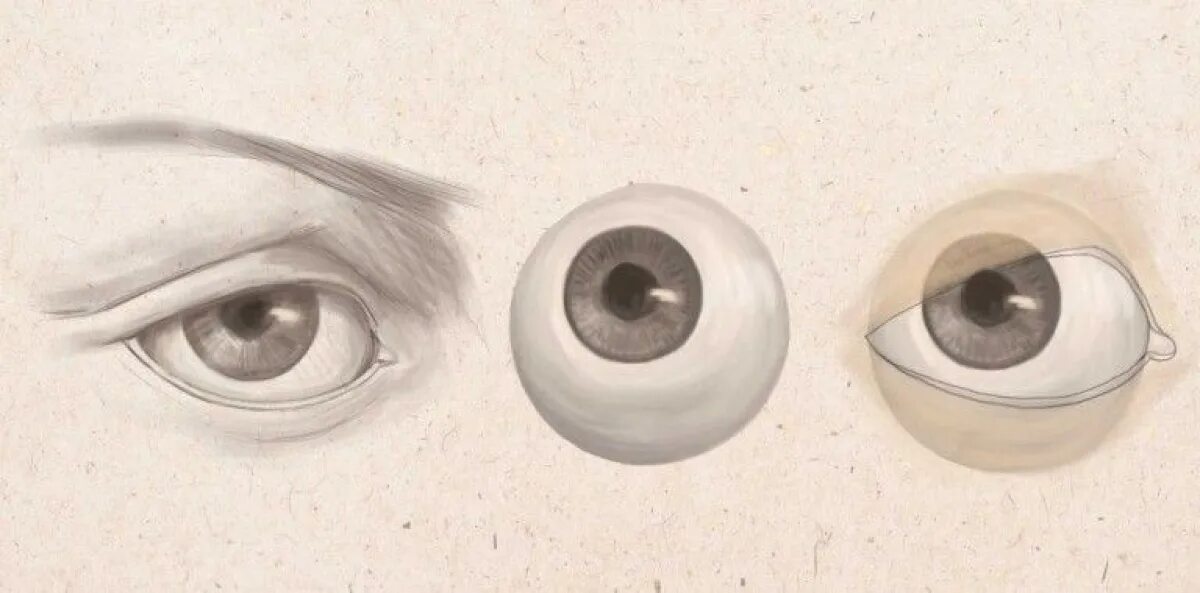 Form eyes. Глаза в разных ракурсах. Глаз Графика. Зрачок карандашом. Глаза ракурсы.
