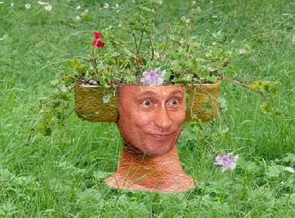 Мадам зюзю