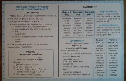 Разборы по русскому языку 6 класс задания
