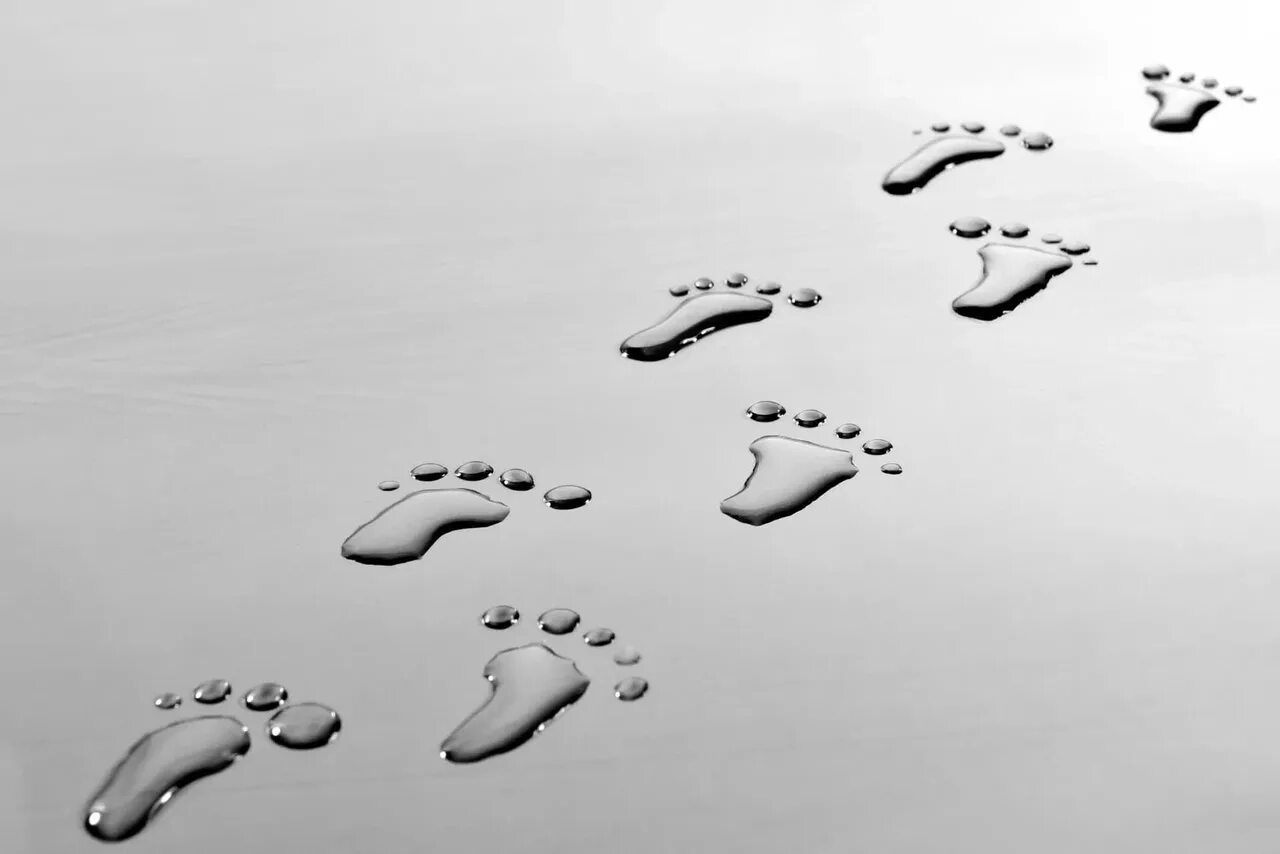 Поверни следы. Следы. человеческие следы. следы на песке. картина след.