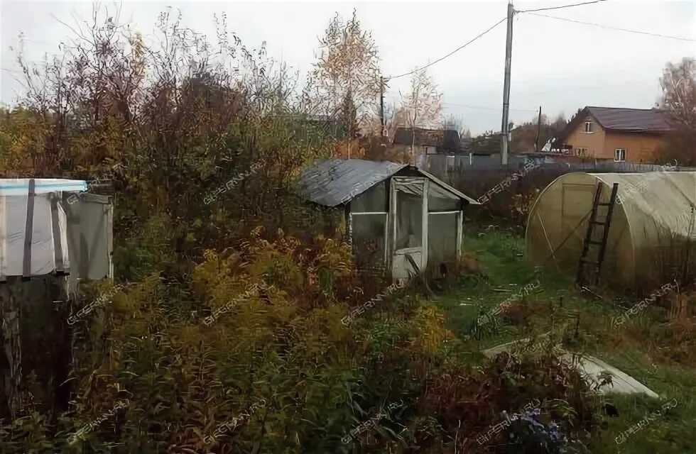 Погода новое доскино