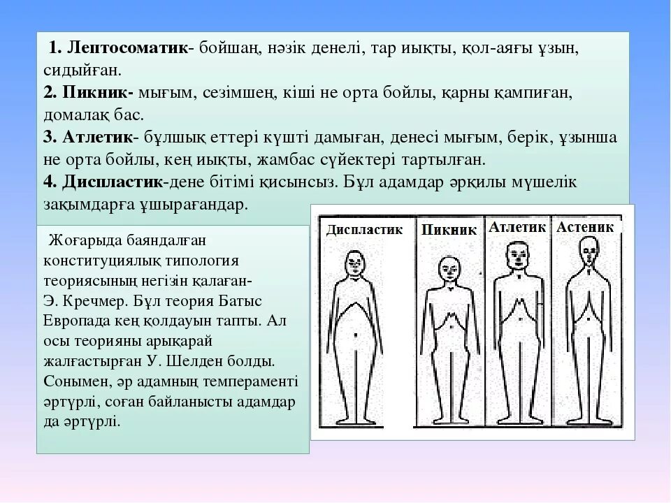 Пикник атлетик. Астеник пикник Атлетик Диспластик. Пикник Атлетик астеник по Кречмеру. Типы телосложения астеник пикник. Типы телосложения по Кречмеру пикник.