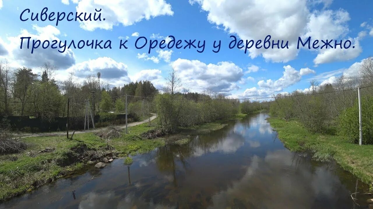 Прогноз погоды сиверский гатчинский. Поселок межно гатчинский район. сиверская река оредеж. межно сиверский. деревня межно гатчинский.