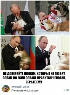 Человек любящий собак как называется