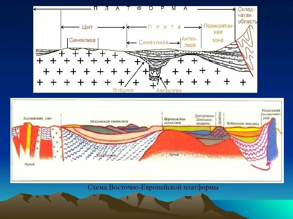 Платформам приурочены. Московская синеклиза геологический разрез. Геологический разрез Восточно-европейской платформы. Геологическое строение Восточно европейской платформы. Геологическое строение Балтийской синеклизы.