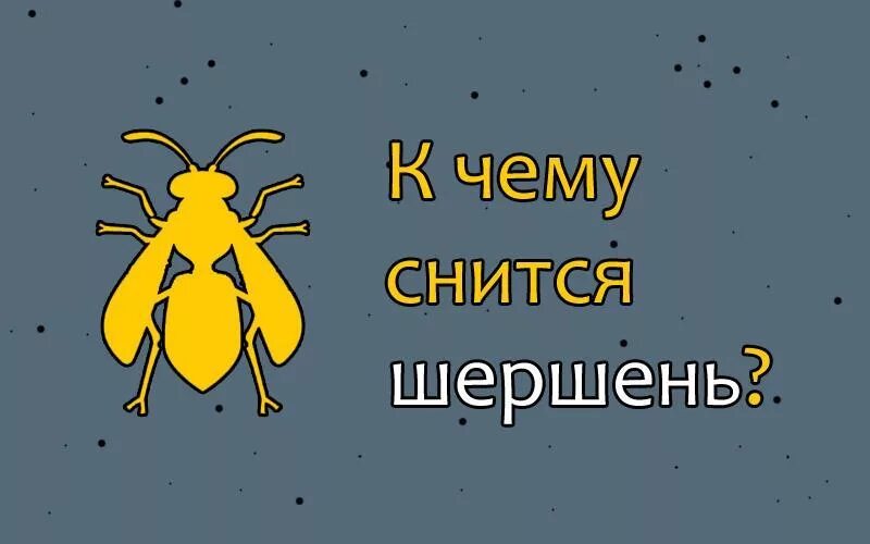 Шершень во сне. К чему снится Шершень. К чему приснился Шершень большой. К чему снятся шершни во сне