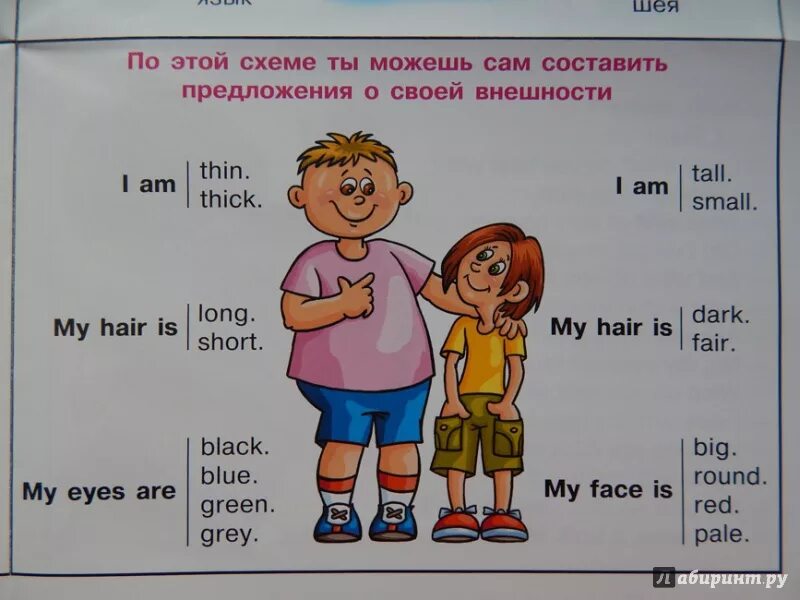 Как будет по английски про. Рассказ о себе на английском. Описание Длуга на английском. Опмскнме друга на английском. Описание себя по английскому языку.