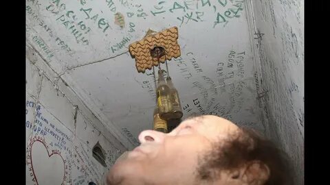 Давидович афоризмы