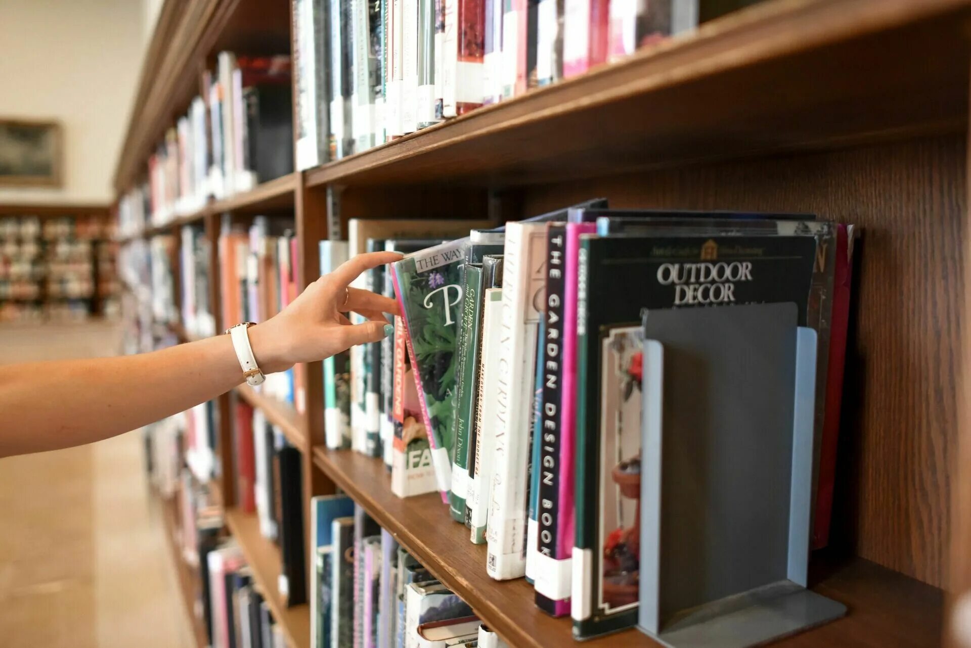 Книги в библиотеке. Полки для книг. книжные полки в библиотеке. полки с книгами в библиотеке. книжная полка в библиотеке.