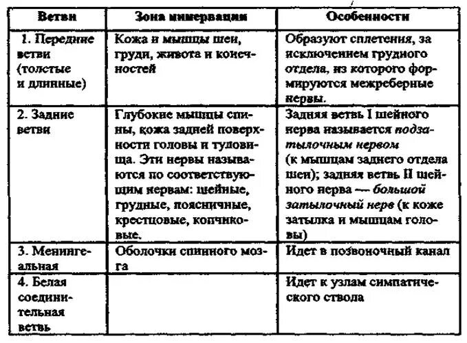 Ветви спинномозговых нервов иннервирующие. Иннервация спинномозговых нервов таблица. Спинномозговые нервы сплетения таблица. Таблица сплетения спинномозговых нервов зона иннервации. Сплетения спинномозговых нервов таблица анатомия.