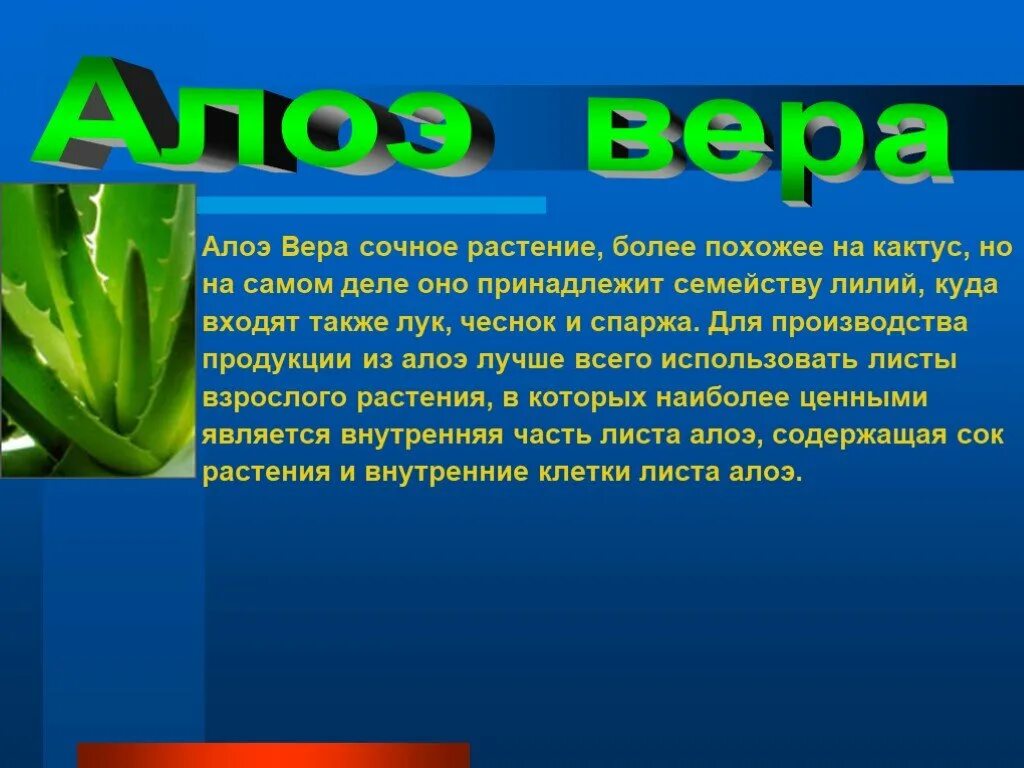 Проект алоэ. Алоэ презентация. Алоэ растение. Презентация про растение алоэ. Алоэ комнатное растение.