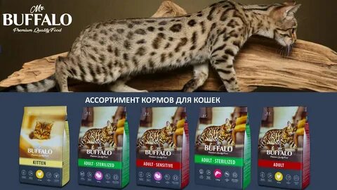 Корм для кошек буффало