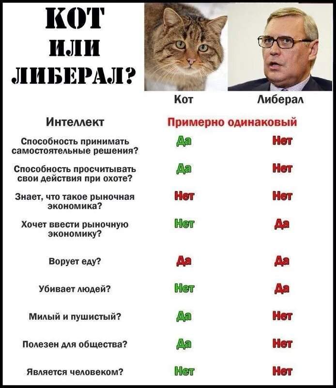 Кто такие либералы в россии. Кот либерал. Мемы про либералов. Приколы про либерастов. Либералы приколы.