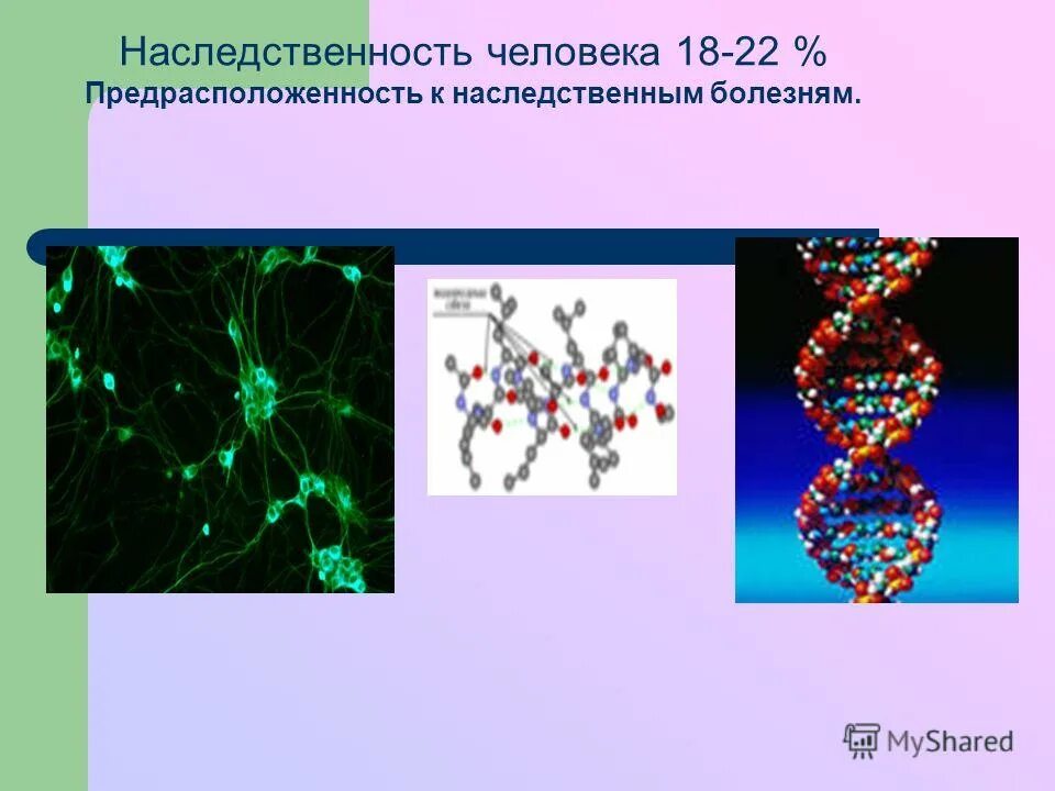 заболевания с наследственной предрасположенностью примеры. заболевания с наследственной предрасположенностью. болезни с наследственной предрасположенностью примеры. болезни с наследственной предрасположенностью. предрасположенность человека к наследственным заболеваниям.